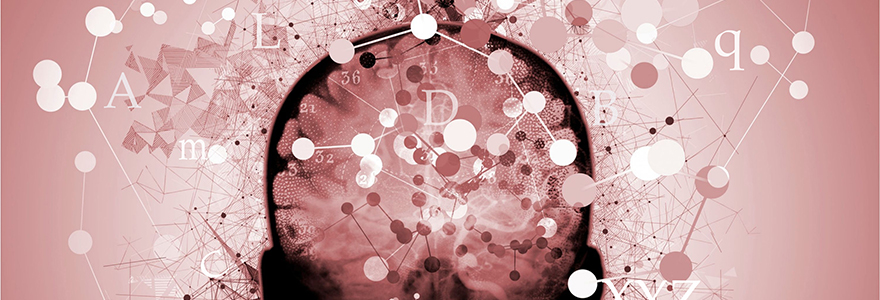 Illustration of words circling the brain