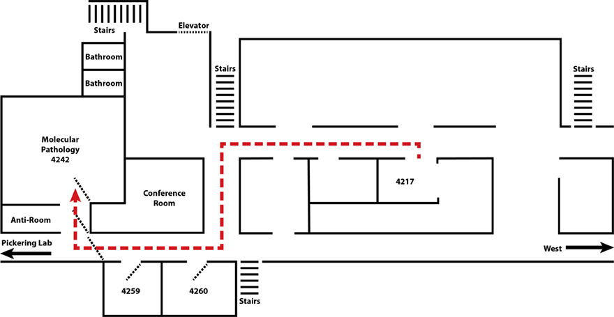 map_molecular_pathology_880.jpg